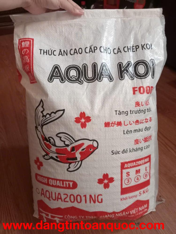 Aqua Koi: Mỗi ngày là một khám phá mới.