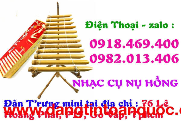 Mua đàn t'rưng mini ống trúc tại Tp.Hồ Chí Minh ( Gò Vấp ) 