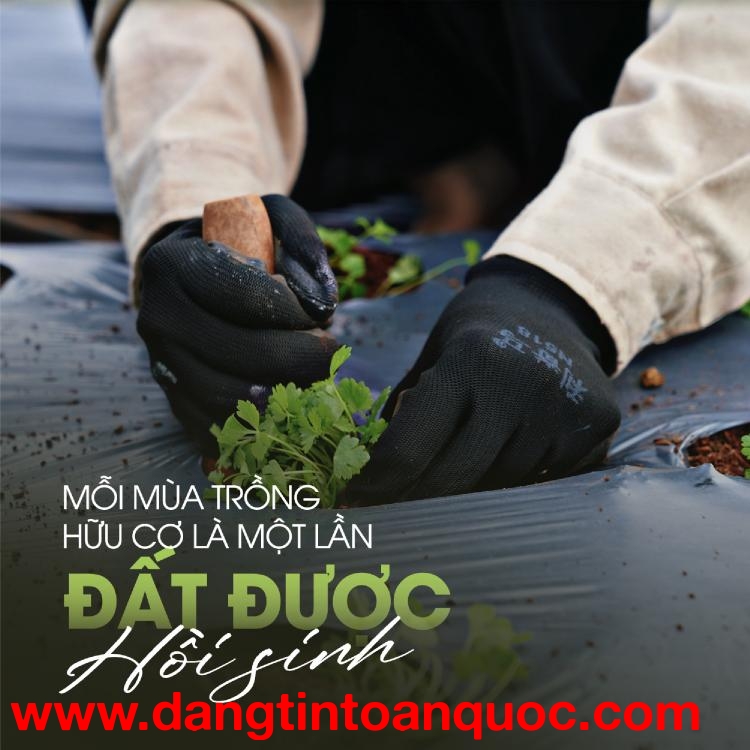 Sản phẩm tự nhiên, cho cuộc sống an yên - G.Organic