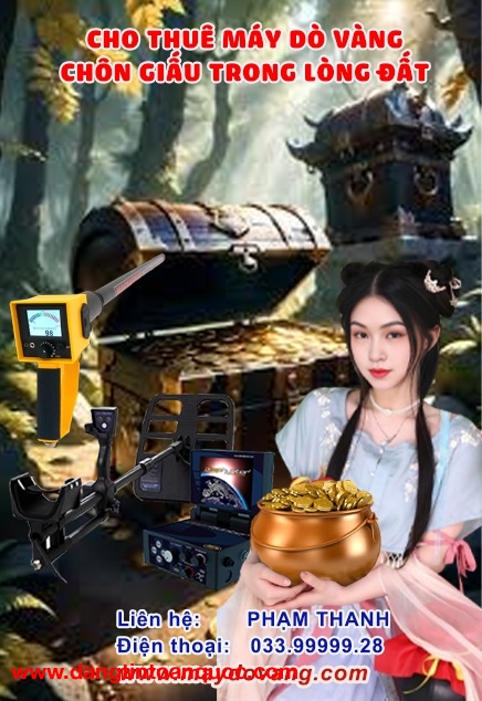  DỊCH VỤ KHẢO SÁT - THĂM DÒ VÀNG CHÔN GIẤU