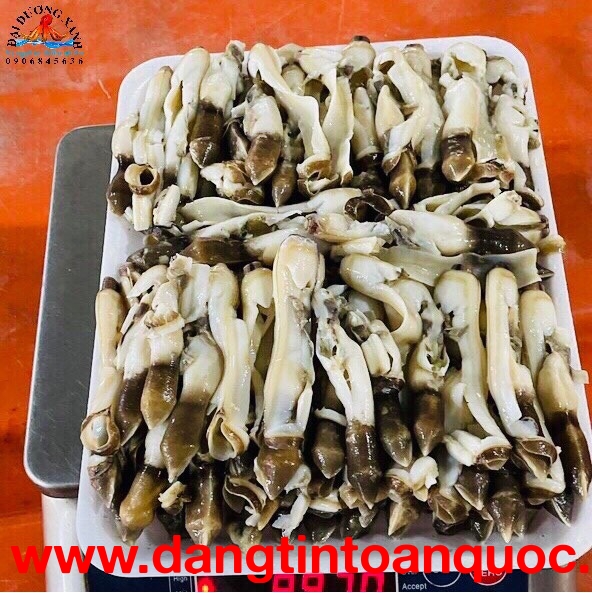 Ốc móng tay đã làm sạch