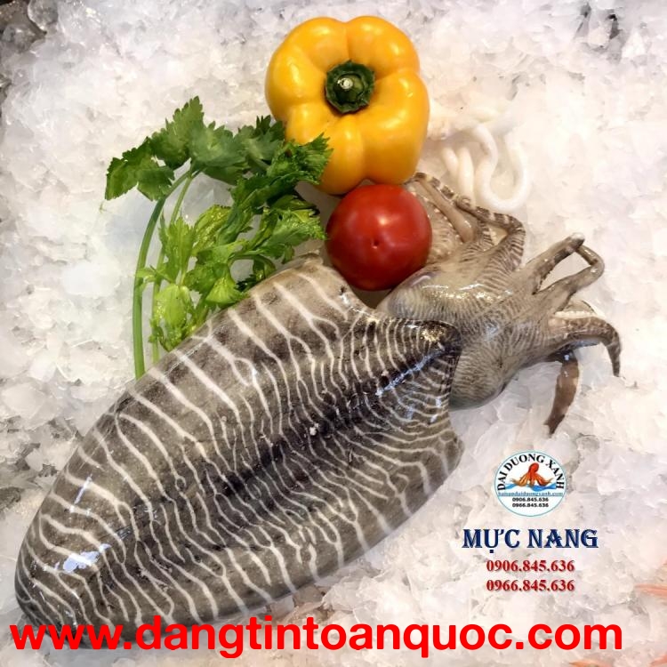 Mực nang làm món gì ngon?