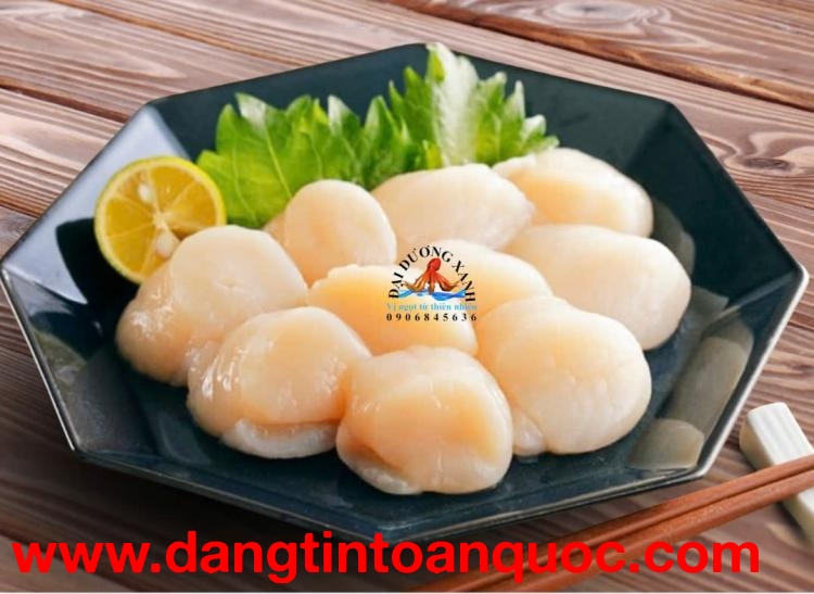 cồi sò điệp nhật