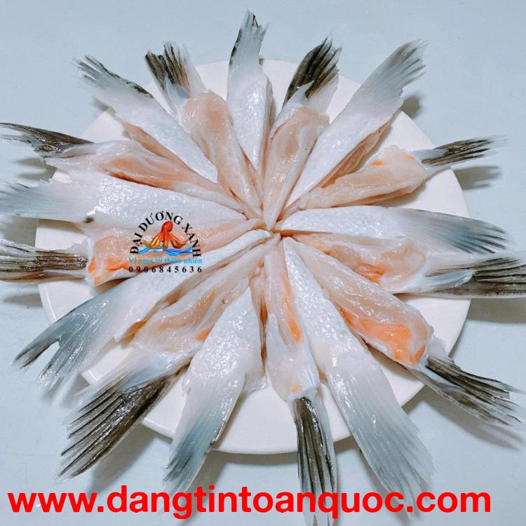 Vi cá hồi có lợi ích gì