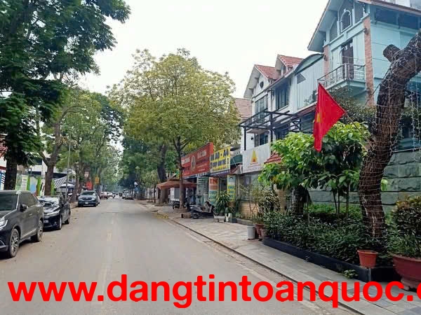 Cho thuê biệt thự Mỹ Đình 2 lô góc siêu đẹp 200m2 4 tầng giá 50 tr