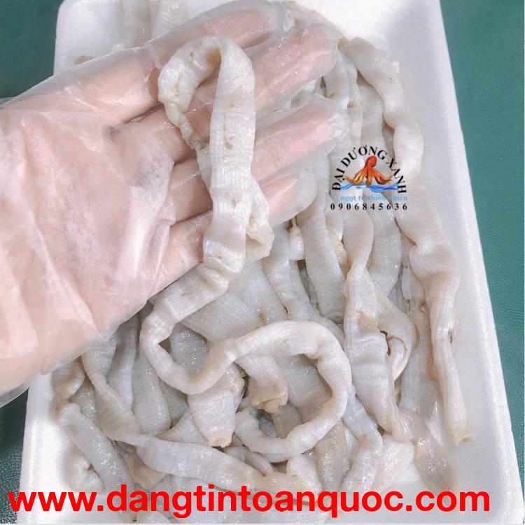 Sá sùng: Đặc sản đắt giá của biển Việt và lý do khiến ai cũng săn lùng