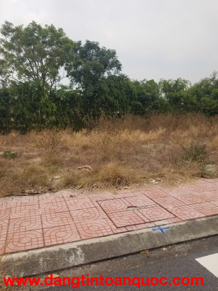 BÁN ĐẤT NỀN DỰ ÁN ĐÃ SỔ ĐỎ RIÊNG TẠI P. BÌNH MINH (TP. TÂY NINH CŨ)