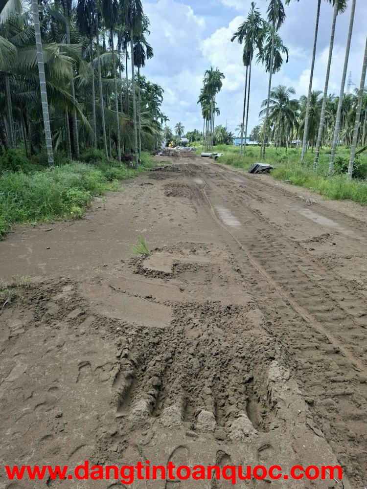 ĐẤT ĐẸP – GIÁ TỐT – CHÍNH CHỦ CẦN BÁN Đất NỀN Xã Bình An Châu Thành, Kiên Giang