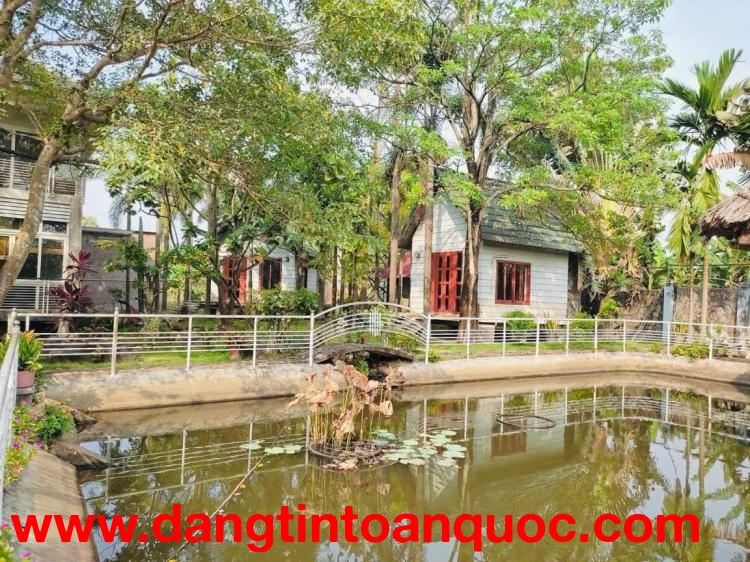 Bán nhà mặt tiền 50x120m giá 95 tỷ Đường Thanh Niên