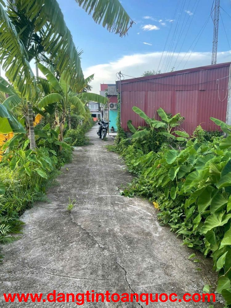 Giá hiếm 6xx triệu – Lô 62.3m² tuyến 2 Bình Minh, Nam Đồ Sơn, đầu tư sinh lời nhanh – ZALO 0567 222 