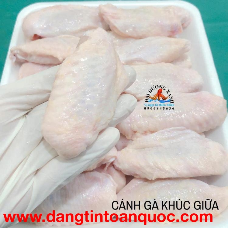 Gợi Ý 5 Món Ngon Từ Cánh Gà Khúc Giữa Dễ Làm Tại Nhà