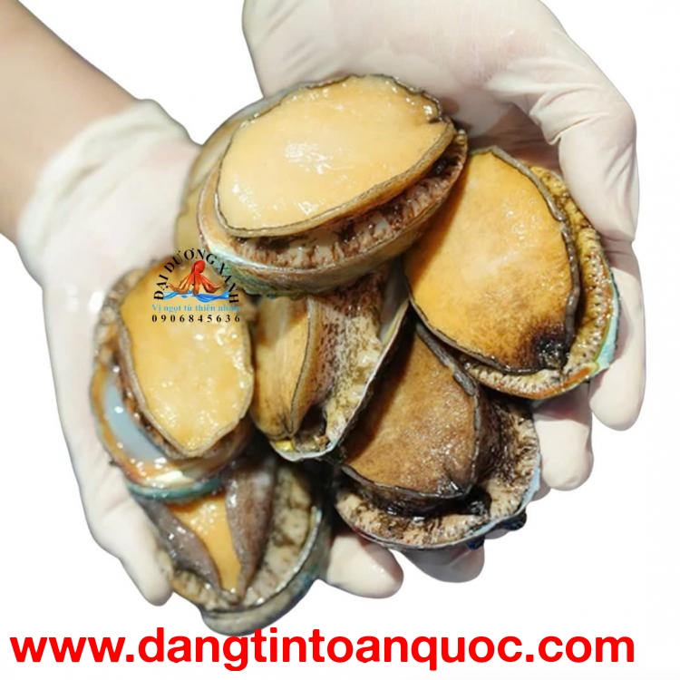 Gợi Ý Món Ngon Với Bào Ngư Cho Mâm Tiệc Sang Trọng