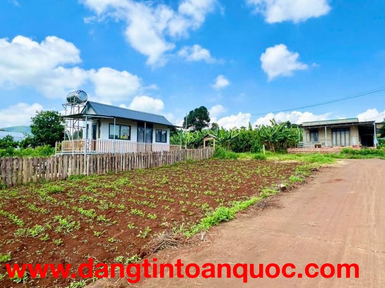 Nam Ban-Lâm Hà dt 5*26m sẵn thổ cư sát địa phận Đà Lạt 12km view rừng thông chill chill mát mẻ giá c