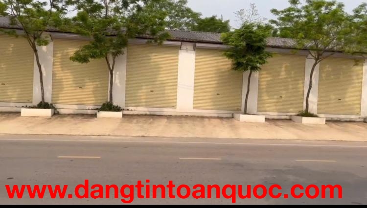 CHÍNH CHỦ CHO THUÊ NHÀ NGUYÊN CĂN – XÃ TAM QUAN, HUYỆN TAM ĐẢO, VĨNH PHÚC