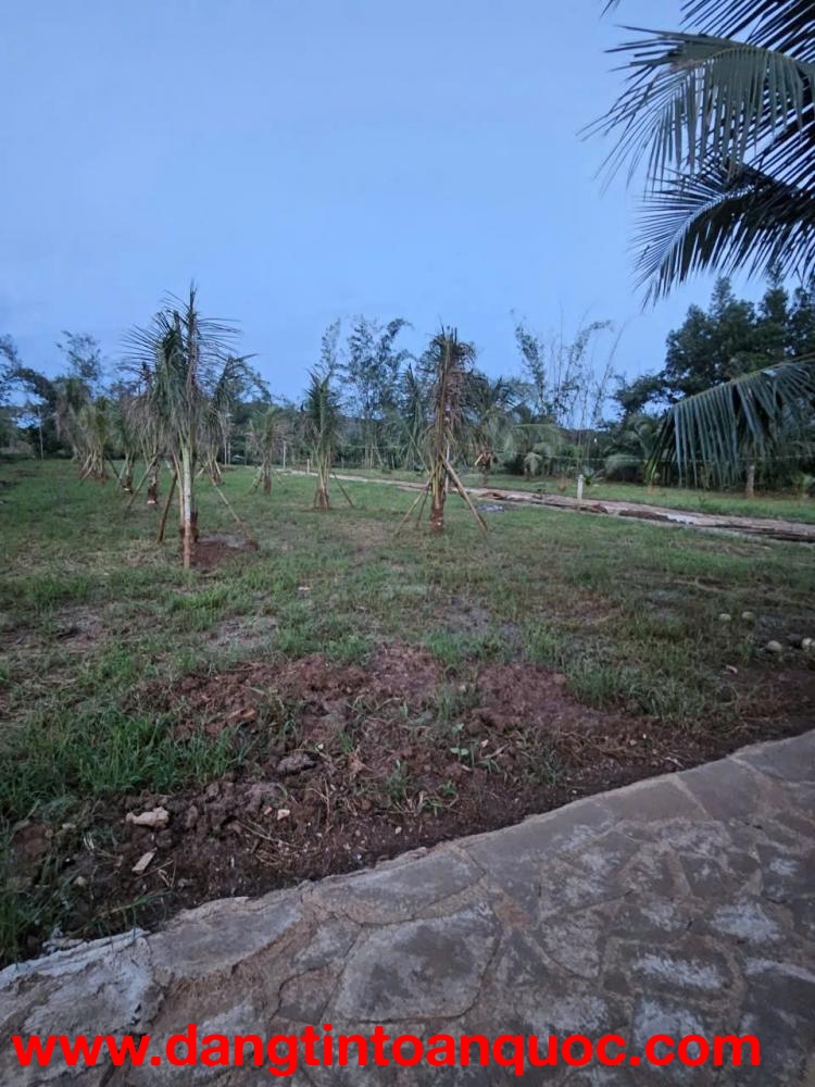 CẦN BÁN GẤP ĐẤT THỔ CƯ – GẦN SÂN BAY LONG THÀNH