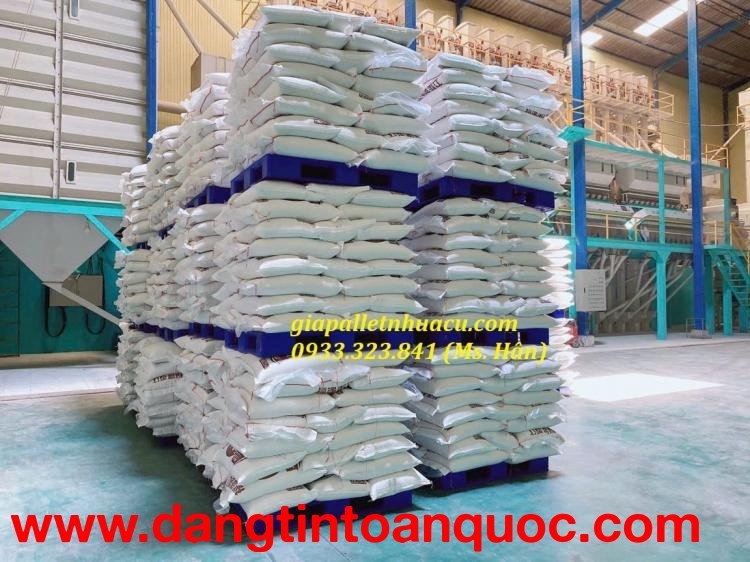 ???? Bán Pallet Nhựa Kê Gạo – Lương Thực Giá Rẻ 2025 ????