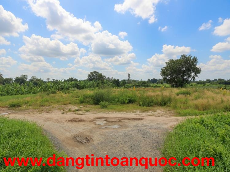 T1753 ???? đất Thạnh Xuân 52 Hóc Môn, SHR, HXT, 55x51m, 16.x tỷ