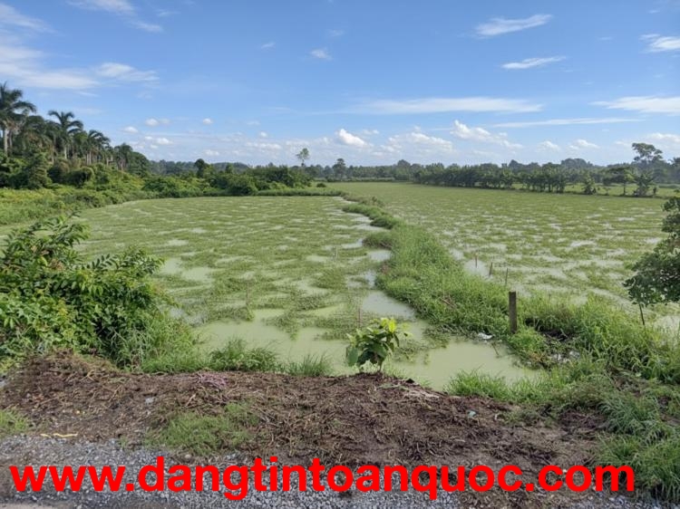 K1754 ✨ đất Mặt tiền Thạnh Xuân 52 Hóc Môn, SHR, 24x51m, 13.x tỷ