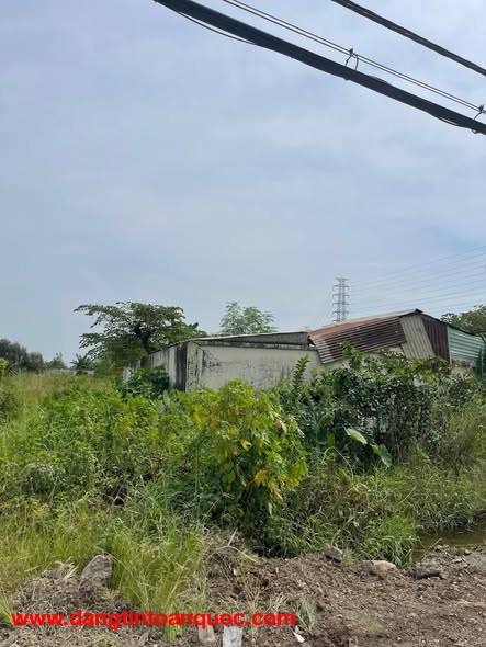 Bán đất mặt tiền 8000m giá 12 triệu/m2 Đường Tỉnh Lộ 15