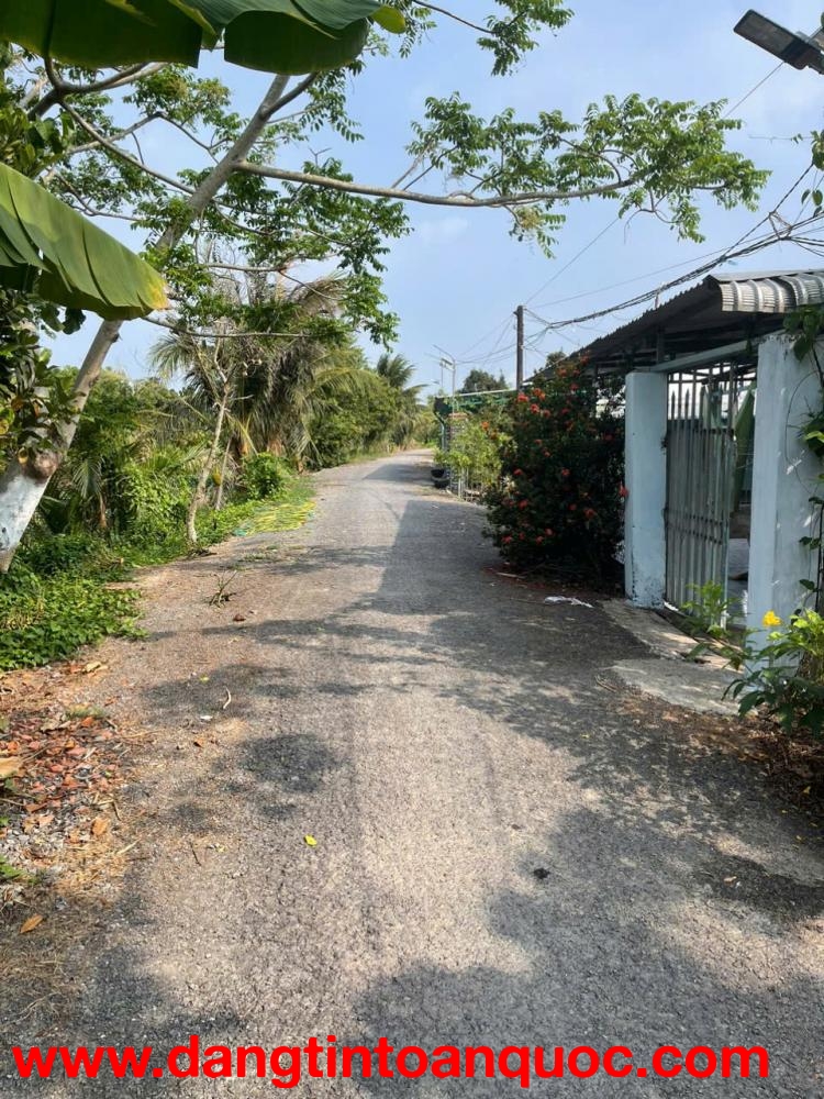 BÁN ĐẤT CÓ NHÀ – HÒA TRUNG, HÒA TÂN, CHÂU THÀNH, ĐỒNG THÁP