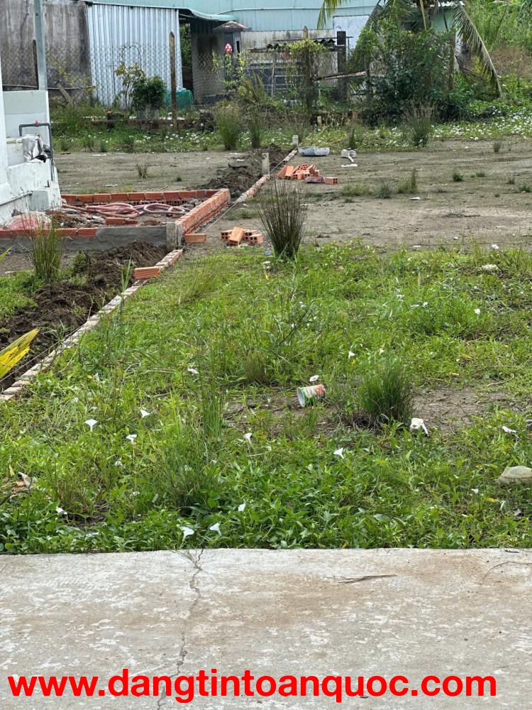 Lưỡi Heo Đông Lạnh Dùng Cho Nhà Hàng