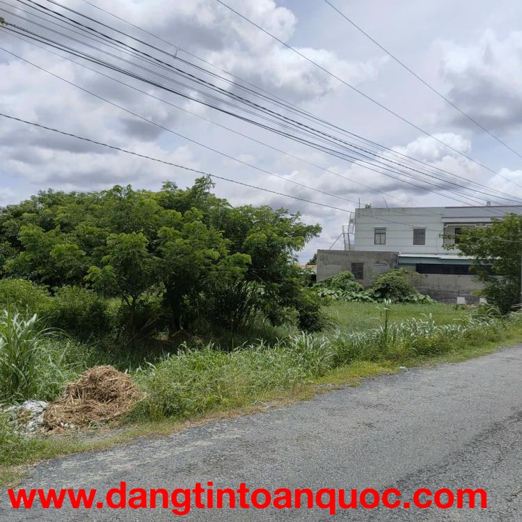 Giá Tốt: Cho Thuê Đất Ruộng 5.400m2 ( 60x90m) Mặt Tiền Huỳnh Châu Sổ, P.6, Tp.Tân An