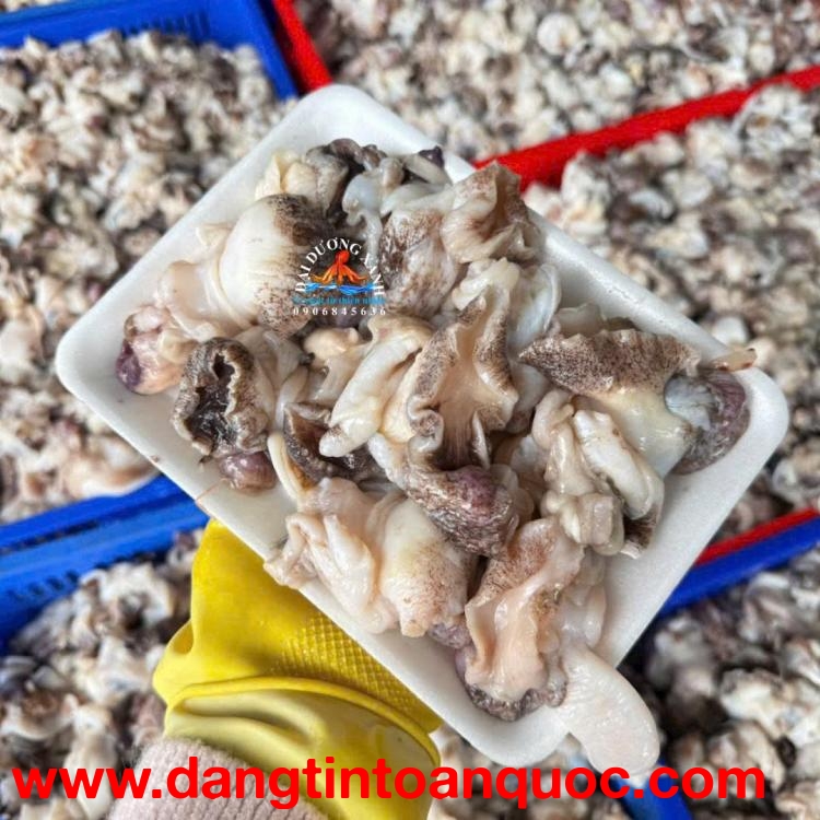 Ruột Ốc Giấy (Ốc Giấm, Ốc Đầm) Làm Món Gì Ngon?