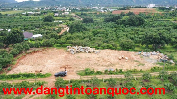 Đất thổ cư Cam Lâm giá đấu tư 6.5tr/m2, dối diện cụm công nghiệp Suối Dầu. Đường 8m ZalO7-53.53.53O