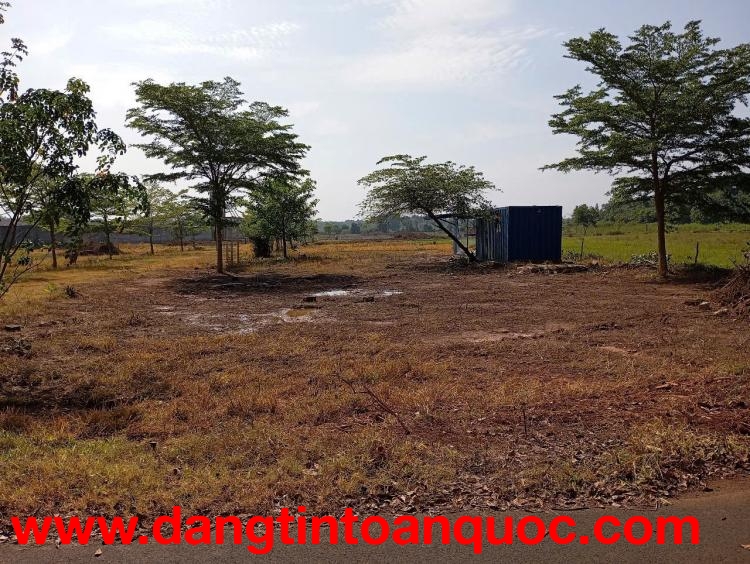 Cho thuê 3ha đất Hồ Tràm kinh doanh Camping, nghỉ dưỡng...giá rẻ lâu dài