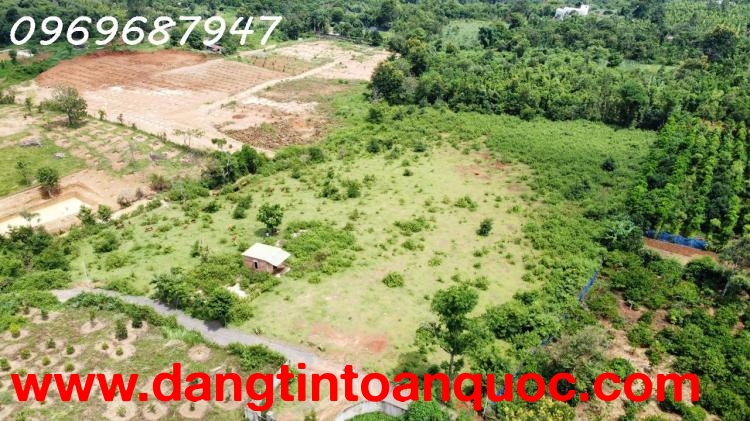 LÔ ĐẤT ĐỎ 1.3 HECTA - BUÔN MA THUỘT - 750TR/ SÀO