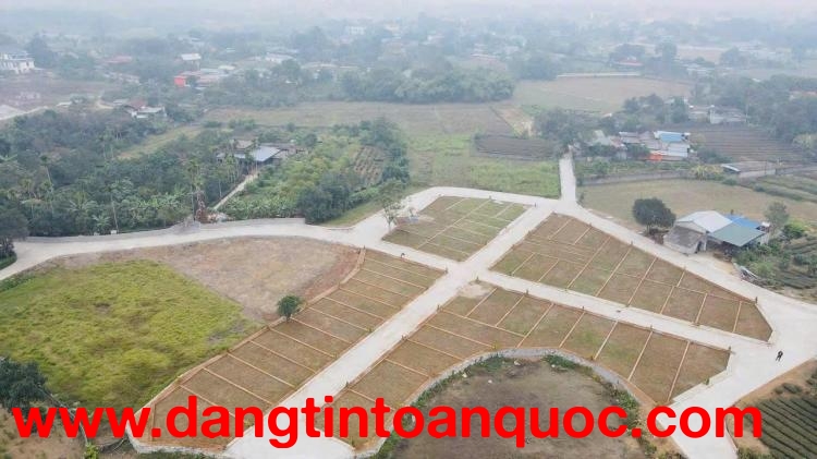 ✅ TÌM ĐÂU RA LÔ ĐẤT 