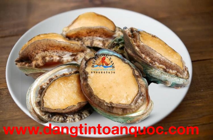 Cách Phân Biệt Bào Ngư Hàn Quốc Chất Lượng Cao