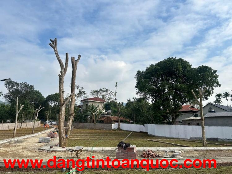 BẮT ĐÚNG NHỊP MUA – NẮM TRỌN DƯ ĐỊA TĂNG GIÁ - CƠ HỘI ĐẦU TƯ CHỈ BẮT ĐẦU TỪ 300 TRIỆU