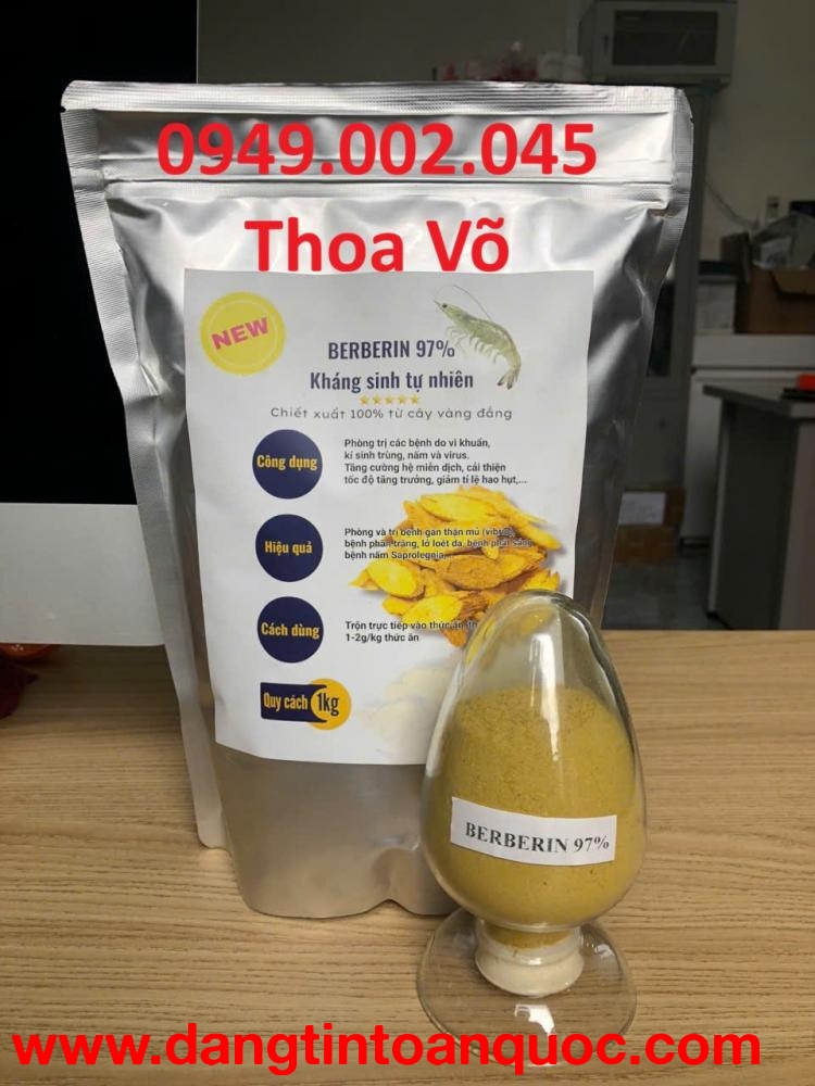 Vàng Đắng Berberin 97% Trị Phân Trắng, Phân Lỏng Cho Tôm Cá