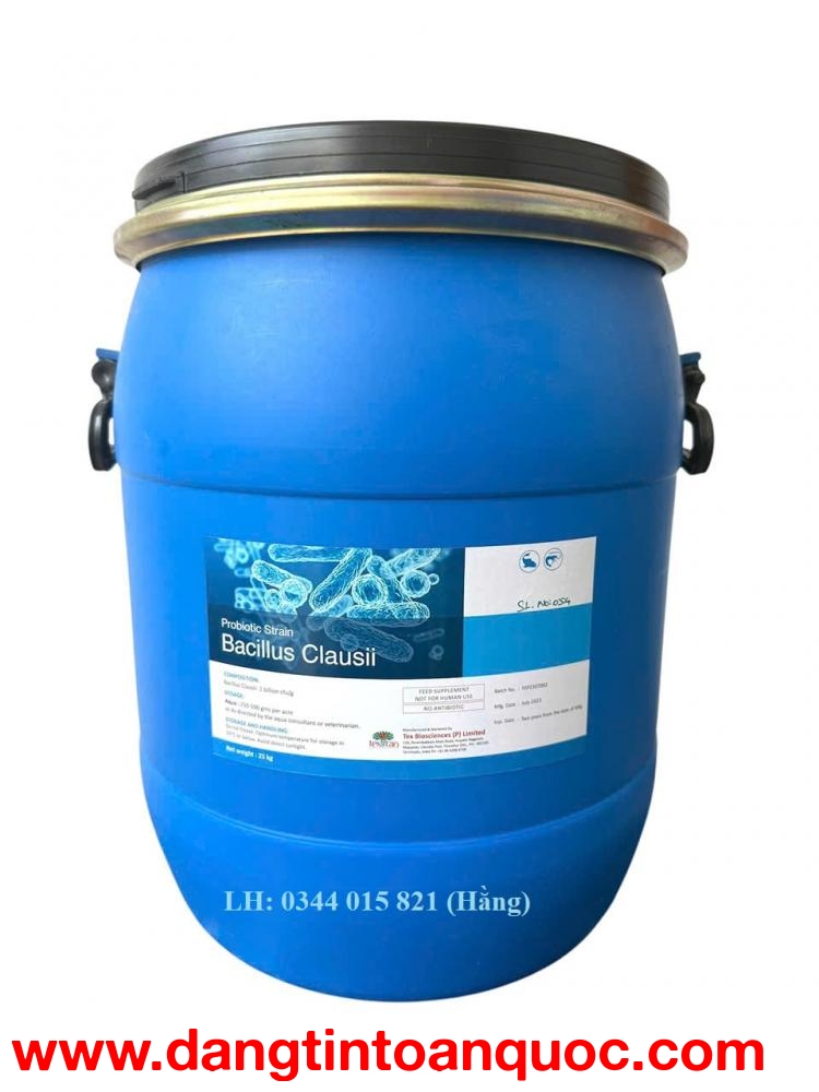 Men vi sinh Bacillus Clausii, cân bằng đường ruột cho tôm cá