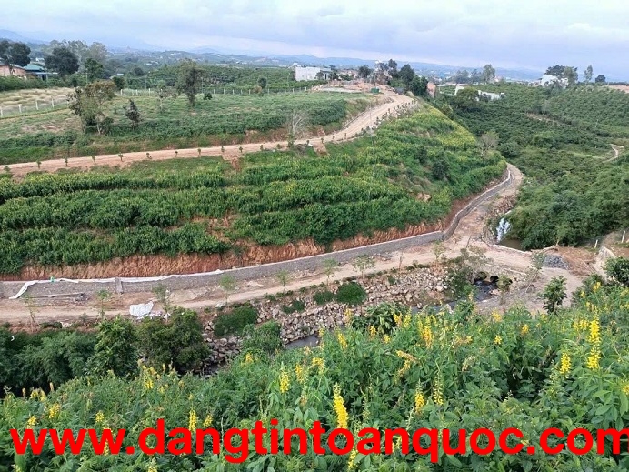 (CHÍNH CHỦ) TUYỆT PHẨM ĐẤT SINH THÁI LÂM ĐỒNG – 2 MẶT TIỀN – SUỐI TỰ NHIÊN