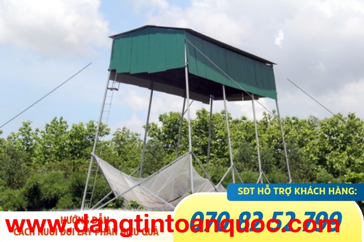 Cách thu hút dơi hiệu quả nhất với máy gọi dơi