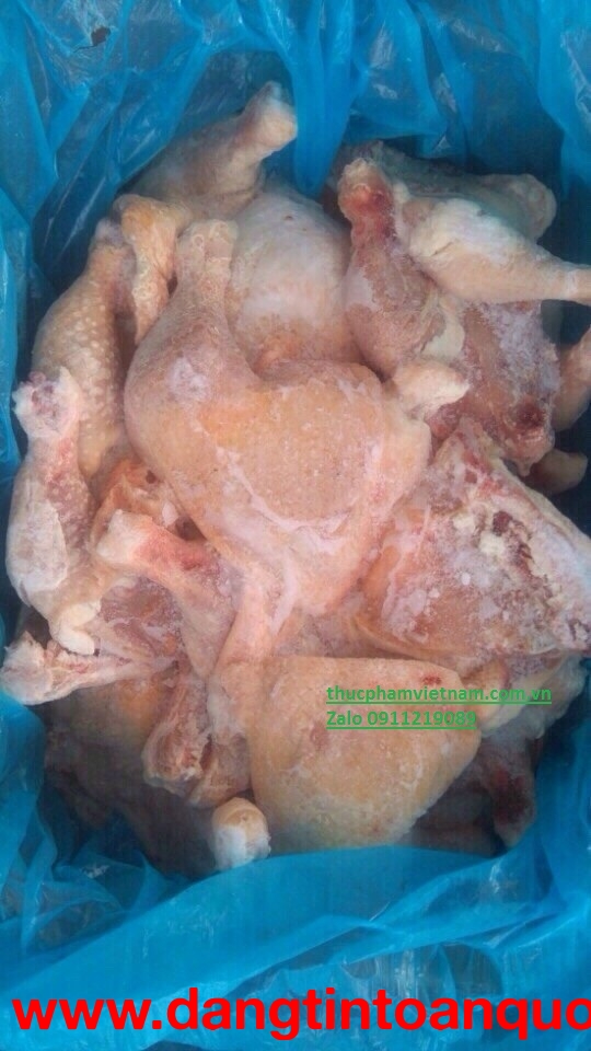 Đùi gà góc tư đông lạnh – Giá cạnh tranh