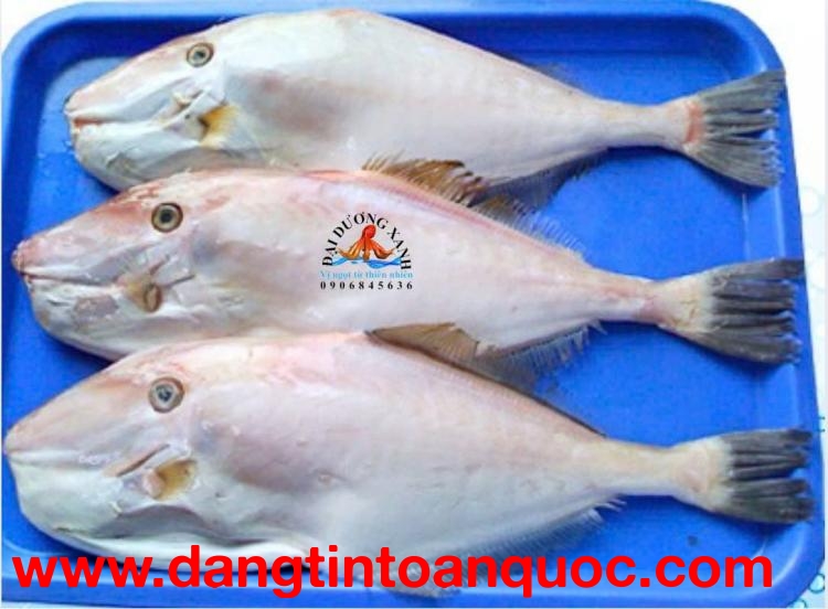 Các Món Ngon Từ Cá Bò Da Được Nhiều Người Yêu Thích