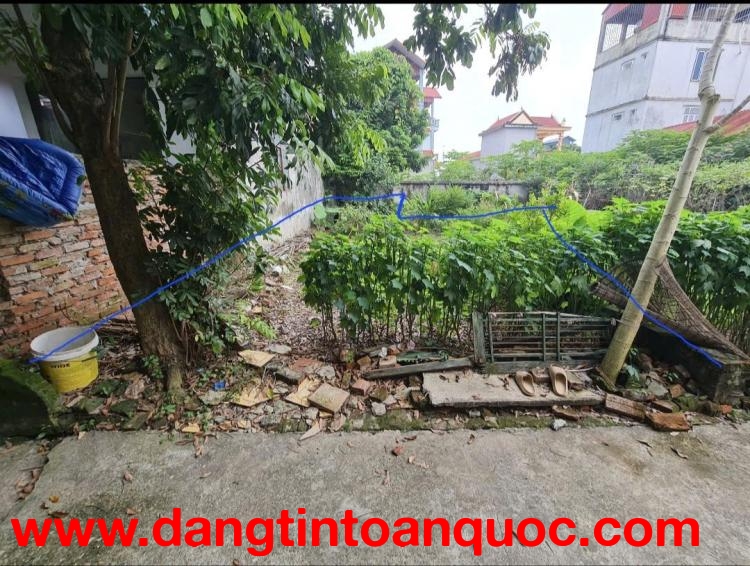 CHÍNH CHỦ CHO THUÊ ĐẤT TẠI THÔN PHÚ MỸ, XÃ NGỌC TẢO, HUYỆN PHÚC THỌ, HÀ NỘI