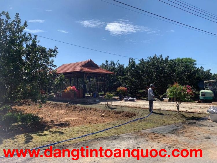 ĐẤT NỀN TRỪ VĂN THỐ - HỒ CHÍ MINH