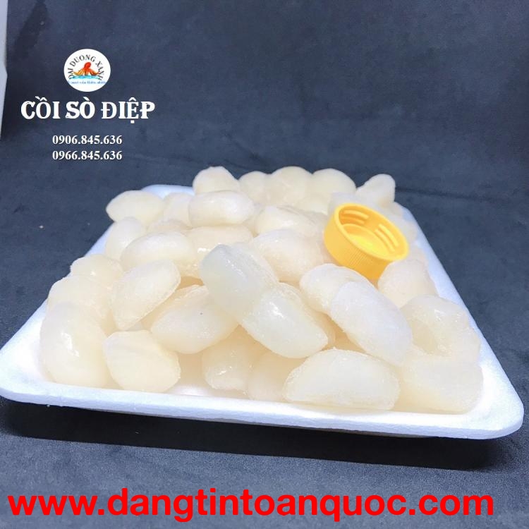 Cung Cấp Cồi Sò Điệp Đông Lạnh – Lựa Chọn An Toàn Và Tiện Lợi