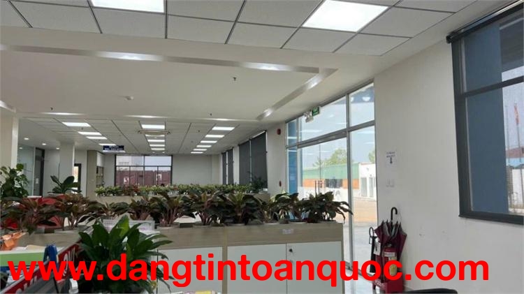 XT463 Cho Thuê Kho Ngoại Quan, Xưởng sản xuất công nghệ cao, trống xưởng giao liền