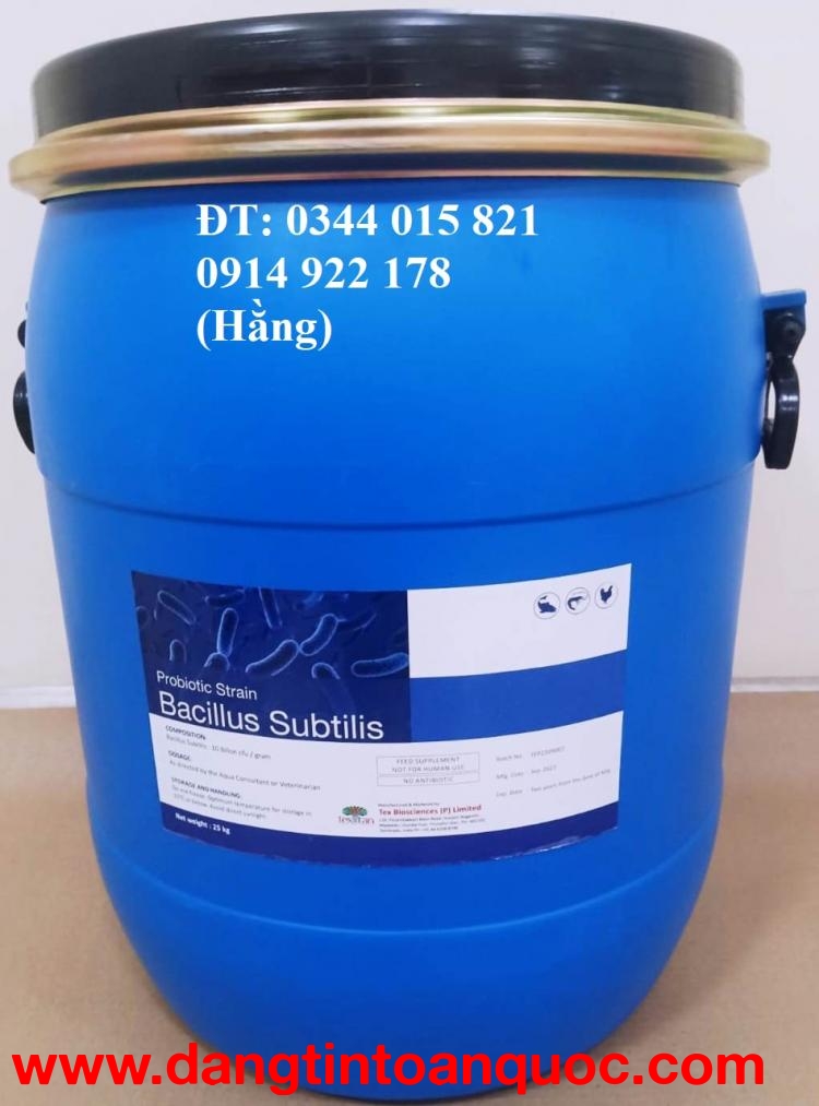 Men vi sinh Bacillus Subtilis, giúp tôm cá tiêu hóa tốt thức ăn