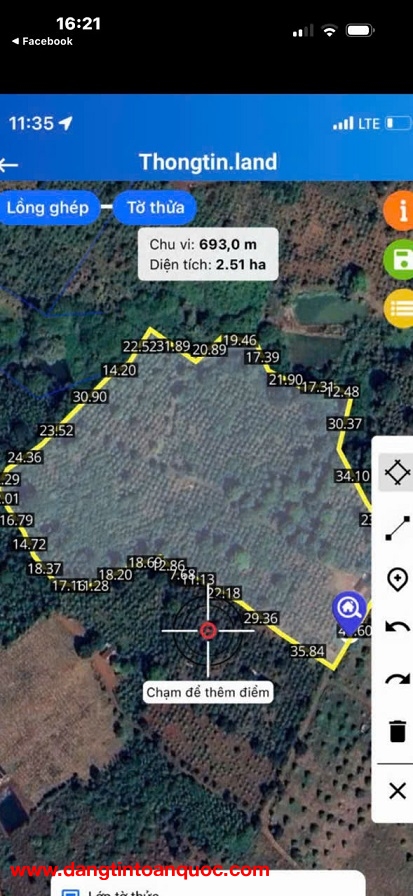 Chuyển đổi hướng kinh doanh cần bán lô đất rẫy đang cho thu nhập ổn định.