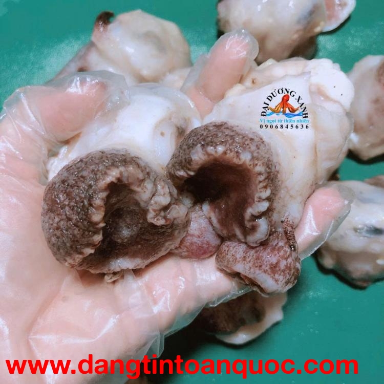 Cách Làm Sạch Ốc Giấy? Ốc Giấy Làm Món Gì Ngon?