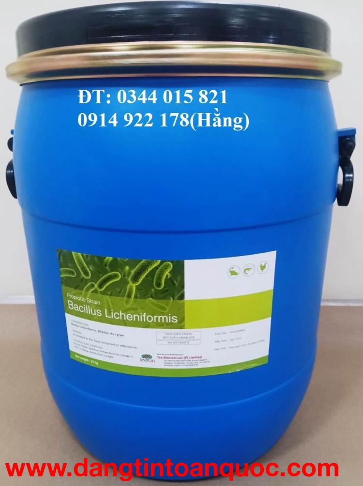 Bacillus Licheniformis, men vi sinh giúp vật nuôi tiêu hóa tốt thức ăn