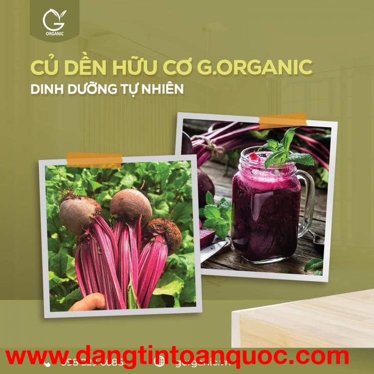 Củ dền - một trong những loại củ có năng lượng xanh - G.Organic
