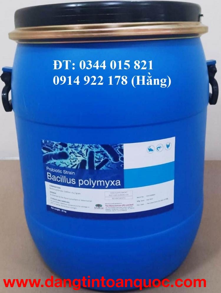 Bacillus Polymyxa, men vi sinh hỗ trợ đường ruột cho tôm cá
