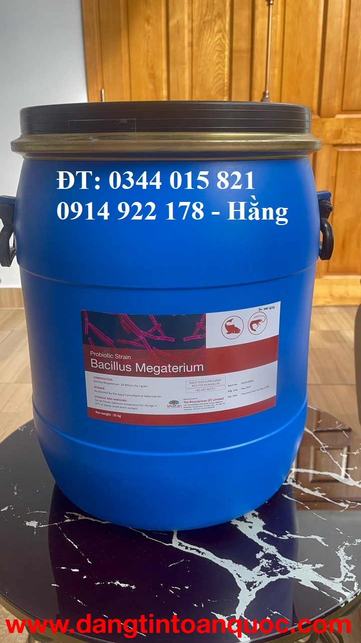 Men vi sinh Bacillus Megaterium, giúp vật nuôi tăng trưởng nhanh